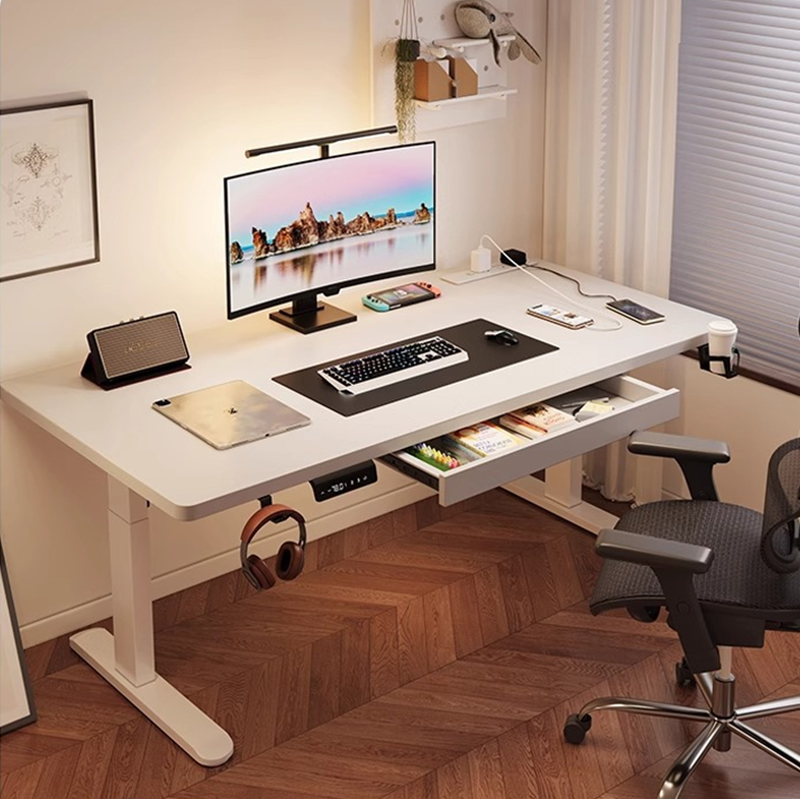 Modern Iron Dual Motor Electri - Desk Setup Office review and price