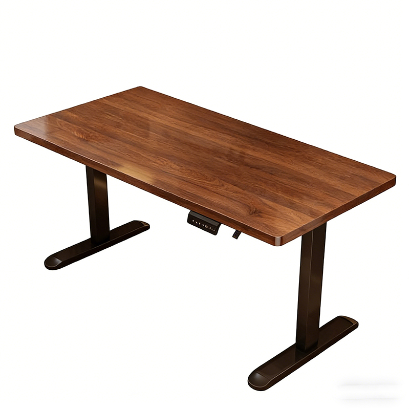 Modern Iron Dual Motor Electri - Desk Setup Office review and price