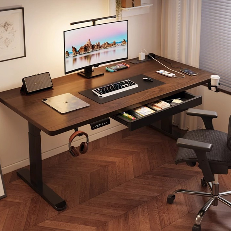 Modern Iron Dual Motor Electri - Desk Setup Office review and price
